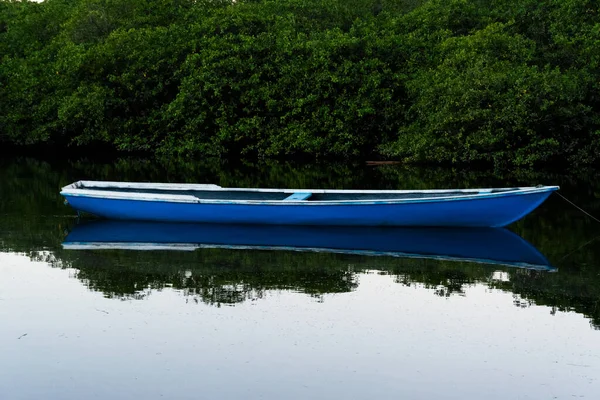 Σκάφος Στέκεται Στο Ποτάμι Κατά Πράσινο Δάσος Στο Παρασκήνιο Aratuipe — Φωτογραφία Αρχείου