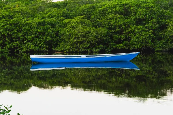 船站在河边 背靠着青翠的森林 巴西巴伊亚州Aratuipe — 图库照片