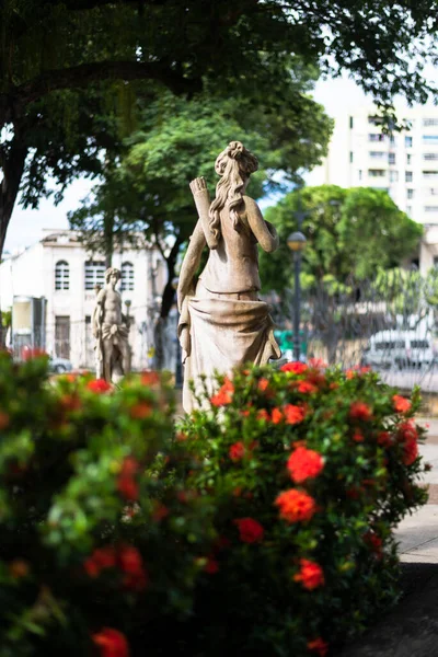 Salvador Bahia Brazílie Října 2022 Socha Mezi Květy Zahrad Largo — Stock fotografie