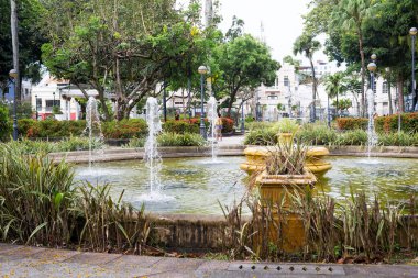 Campo Grande Meydanı 'ndaki çeşmenin manzarası, aynı zamanda Praca 2 de Julho olarak da bilinir. Salvador şehri.