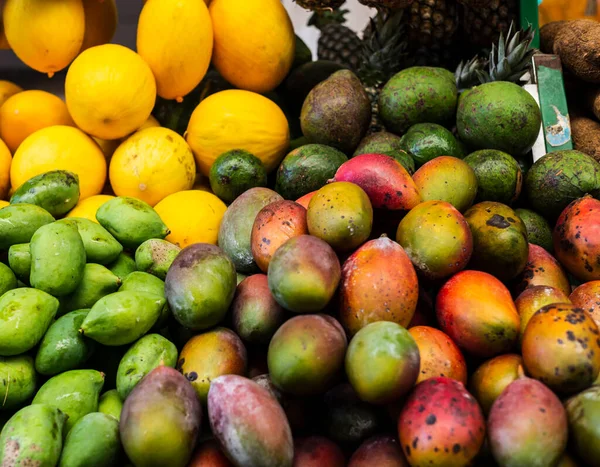 Karpuz ve mangolar fuarda satışa hazır. Organik konsept.