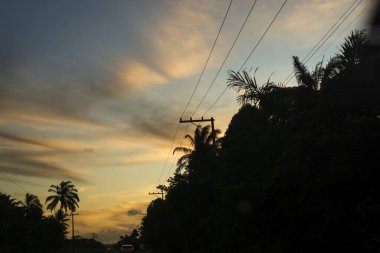 Silhouette of trees and electricity wires at sunset. Dramatic sky.