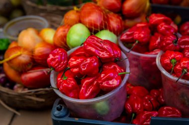Meyveler, baharatlar, sebzeler ve sebzeler Salvador, Bahia 'daki Sao Joaquim fuarında satılık..