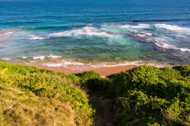 Ocean seen from above with trees and rocks. Postcard from Salvador, Brazil.
