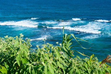 Ocean view on a hot day with leaves and trees on the hill. Top view.