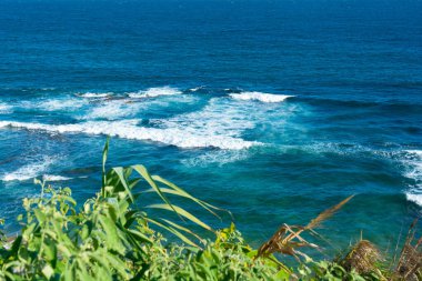 Ocean view on a hot day with leaves and trees on the hill. Top view.