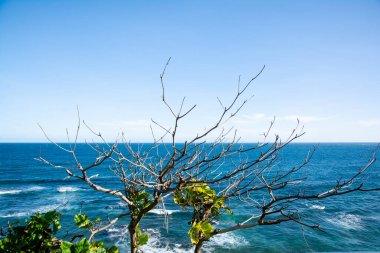 Ocean view on a hot day with leaves and trees on the hill. Top view.