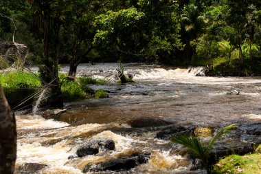 River flowing through dense forest. Rural area of the city of Valenca, Bahia.