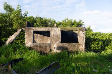 Structure of an abandoned house among branches and trees. City of Valenca, Bahia.