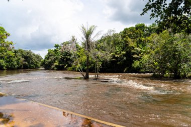 River flowing through dense forest. Rural area of the city of Valenca, Bahia.