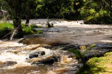 River flowing through dense forest. Rural area of the city of Valenca, Bahia.