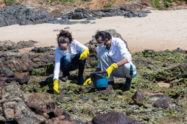 Salvador, Bahia, Brazil - October 27, 2019: Two volunteers are cleaning the Rio Vermelho beach after an oil spill by a ship off the Brazilian coast. Salvador, Bahia.