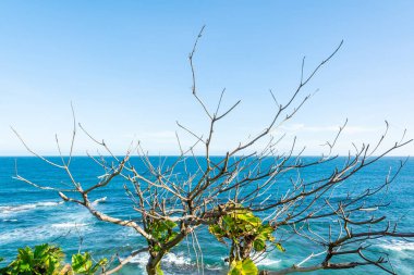 Sea seen from above on a hot day. Trees on the hill. Salvador, Bahia.