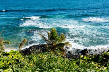 Ocean view on a hot day with leaves and trees on the hill. Top view.