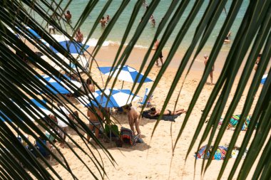 Salvador, Bahia, Brezilya - 14 Ocak 2022: Porto da Barra sahilinin yaprakları arasında insanların ve turistlerin eğlendiği yer. Salvador, Bahia.