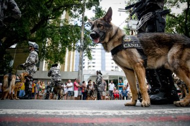 Salvador, Bahia, Brezilya - 07 Eylül 2016: Salvador, Bahia 'daki Brezilya bağımsızlık geçidinde askerler ve askeri köpekler görülüyor.