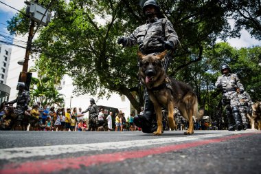Salvador, Bahia, Brezilya - 07 Eylül 2016: Salvador, Bahia 'daki Brezilya bağımsızlık geçidinde askerler ve askeri köpekler görülüyor.