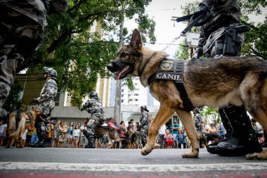 Salvador, Bahia, Brezilya - 07 Eylül 2016: Salvador, Bahia 'daki Brezilya bağımsızlık geçidinde askerler ve askeri köpekler görülüyor.