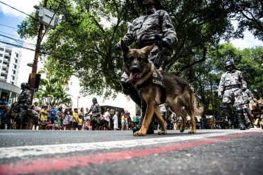Salvador, Bahia, Brezilya - 07 Eylül 2016: Salvador, Bahia 'daki Brezilya bağımsızlık geçidinde askerler ve askeri köpekler görülüyor.