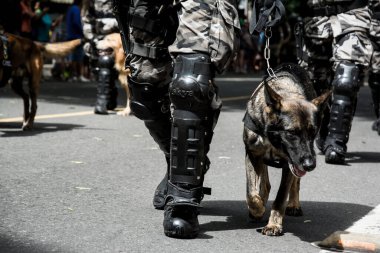 Salvador, Bahia, Brazil - September 07, 2016: Soldiers and military dogs are seen at the Brazilian independence parade in Salvador, Bahia. clipart
