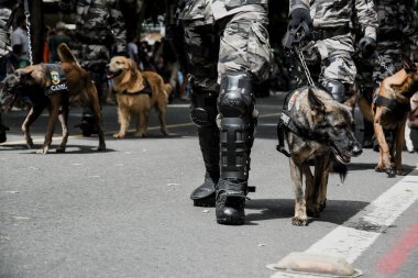 Salvador, Bahia, Brezilya - 07 Eylül 2016: Salvador, Bahia 'daki Brezilya bağımsızlık geçidinde askerler ve askeri köpekler görülüyor.