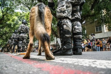 Salvador, Bahia, Brezilya - 07 Eylül 2016: Salvador, Bahia 'daki Brezilya bağımsızlık geçidinde askerler ve askeri köpekler görülüyor.