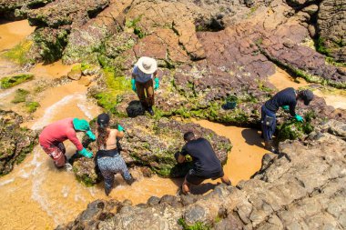 Salvador, Bahia, Brezilya - 27 Ekim 2019: Gönüllüler Rio Vermelho sahilinden Brezilya Denizi 'ndeki bir gemi tarafından dökülen kara yağı çıkardılar. Bahia, Salvador şehri..