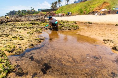 Salvador, Bahia, Brezilya - 27 Ekim 2019: Gönüllüler Rio Vermelho sahilindeki bir geminin petrol sızıntısından sonra Rio Vermelho sahilini temizlerken görüldü. Salvador, Bahia.