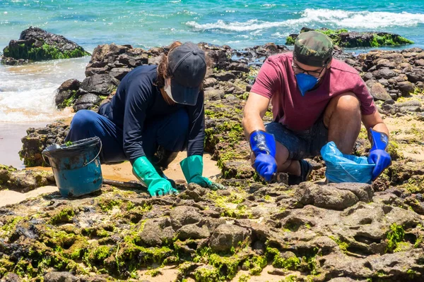 Salvador, Bahia, Brazil - October 27, 2019: Two volunteers are cleaning the Rio Vermelho beach after an oil spill by a ship off the Brazilian coast. Salvador, Bahia.