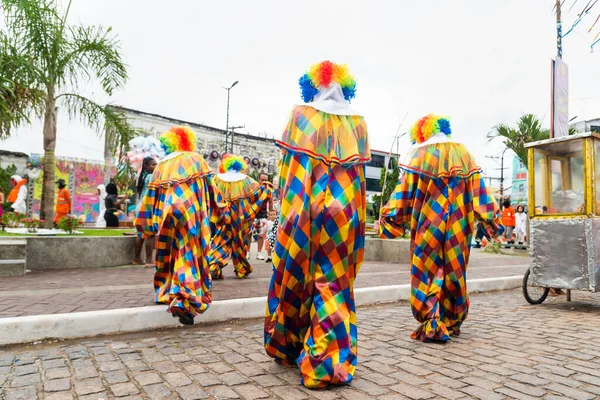 Maragogipe Bahia Brazil February 2023 People Dressed Clowns Seen Parading — Stock Fotó