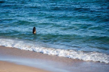 Salvador, Bahia, Brezilya - 22 Ekim 2022: Sıcak bir günde Farol da Barra plajında yıkanan ve dinlenen turistler. Salvador, Bahia.