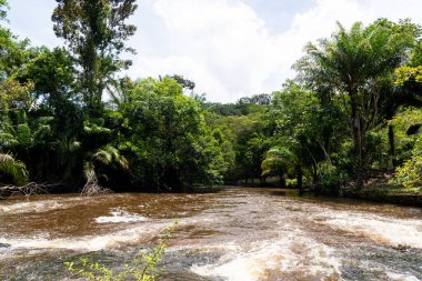 River flowing in the forest. City of Valenca, Brazil.