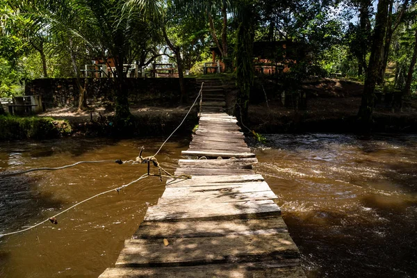 Calm River Deep Forest Passes Wooden Bridge City Valenca Bahia — Stok fotoğraf