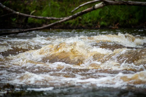 河流流过茂密的森林 巴伊亚州瓦伦卡市农村地区 — 图库照片
