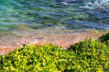 Ocean seen from above with trees and rocks. Postcard from Salvador, Brazil.