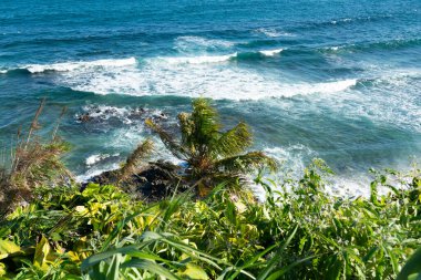 Ocean view on a hot day with leaves and trees on the hill. Top view.