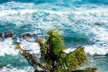 Sea seen from above on a hot day. Trees on the hill. Salvador, Bahia.