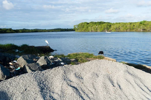 A black vulture and a white heron standing by the riverside. River Una in Valenca, Bahia.