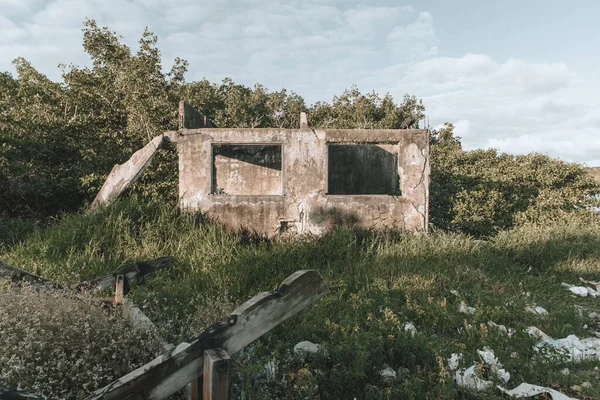 Estructura Una Casa Abandonada Entre Ramas Árboles Ciudad Valenca Bahia — Foto de Stock