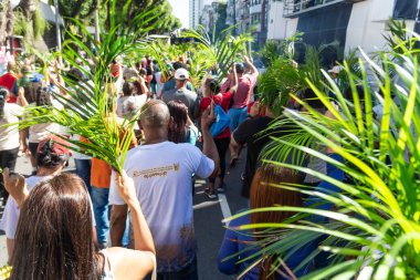 Salvador, Bahia, Brezilya - Abril 02, 2023: Katoliklere tapanlar Palm Sunday ayininde Salvador, Bahia 'da palmiye dalları sallıyorlar.