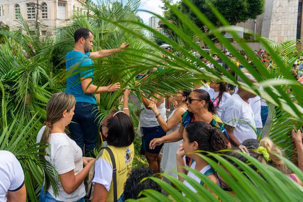 Salvador, Bahia, Brezilya - Abril 02, 2023: Katolikler, Salvador, Bahia 'daki Palm Sunday geçit töreni için palmiye dalları topluyor.