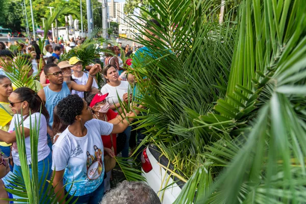 Salvador Bahia Brasil Abril 2023 Católicos Estão Pegando Ramos Palmeira — Fotografia de Stock