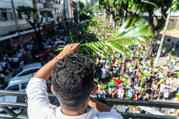 Salvador Bahía Brasil Abril 2023 Miles Católicos Participan Sosteniendo Ramas — Foto de Stock