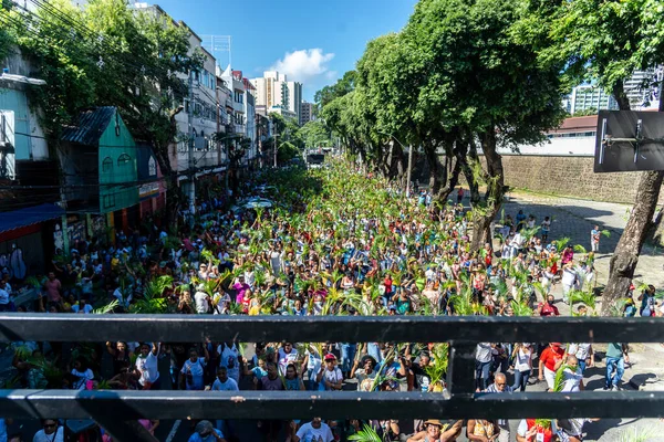 Salvador Bahia Brasil Abril 2023 Milhares Católicos Participam Mantendo Ramos — Fotografia de Stock