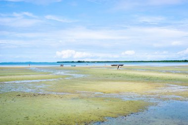 Santo Amaro, Bahia, Brezilya - 15 Mayıs 2022: Güneşli bir günde Itapema plajı manzarası. Bahia 'daki Santo Amaro şehri..