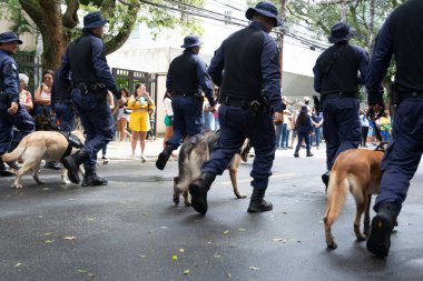 Salvador, Bahia, Brezilya - 07 Eylül 2022: Salvador, Bahia 'da düzenlenen Brezilya Bağımsızlık Günü anısına belediye muhafızları geçit töreni.