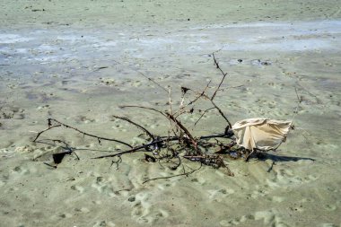 Santo Amaro, Bahia, Brezilya - 15 Mayıs 2022: Güneşli bir günde Itapema sahilinde kirli kum. Bahia 'daki Santo Amaro şehri..