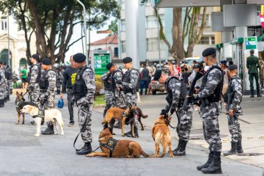 Salvador, Bahia, Brezilya - 07 Eylül 2022: Bahia askeri polisinin askerleri ve köpekleri durduruldu ve Brezilya 'nın bağımsızlığı gününde, Salvador şehrinde düzenlenen geçit töreninin başlamasını beklediler..