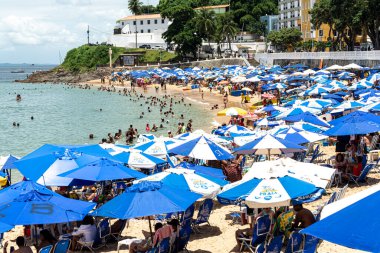 Salvador, Bahia, Brezilya - 14 Ocak 2022: Yüzlerce insan ve turist Salvador, Bahia 'daki Porto da Barra plajında güneşleniyor ve yüzüyor.