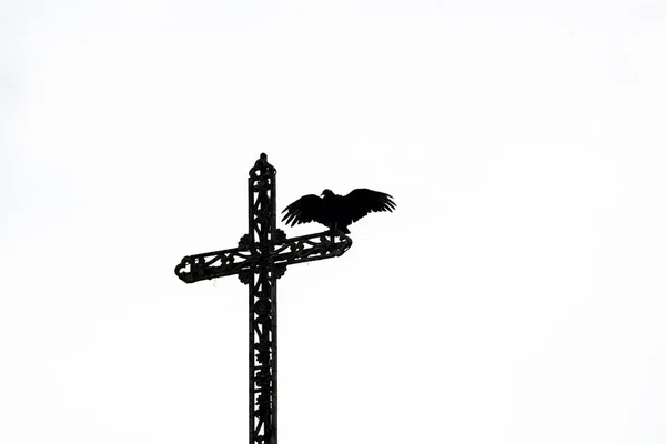 Ένα Όρνιο Στην Κορυφή Του Σταυρού Μιας Καθολικής Εκκλησίας Πόλη — Φωτογραφία Αρχείου